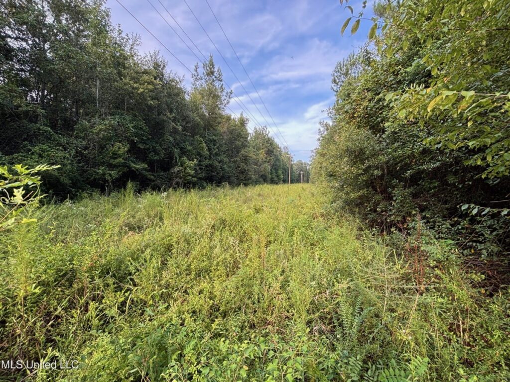 Property photo for land for sale in Jones County Mississippi