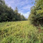 Property photo for land for sale in Jones County Mississippi