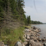 Property photo for land for sale in Chippewa County Michigan