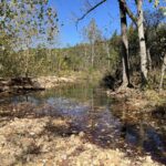 Property photo for land for sale in Reynolds County Missouri