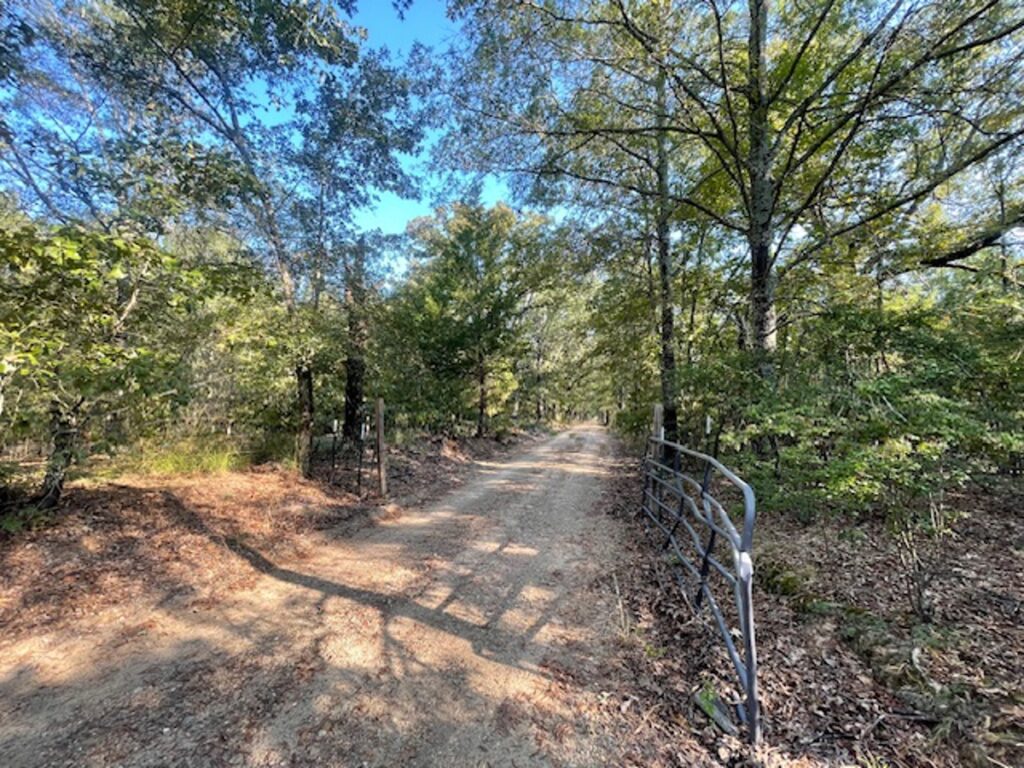 Property photo for land for sale in Lamar County Texas