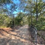 Property photo for land for sale in Lamar County Texas
