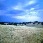 Property photo for land for sale in Idaho County Idaho