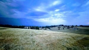 Property photo for land for sale in Idaho County Idaho