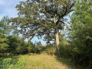 Property photo for land for sale in Pike County Mississippi