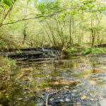 Property photo for land for sale in Lawrence County Tennessee