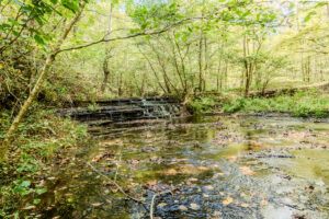 Property photo for land for sale in Lawrence County Tennessee