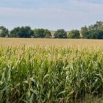 Property photo for land for sale in Franklin County Nebraska
