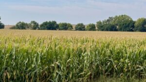 Property photo for land for sale in Franklin County Nebraska