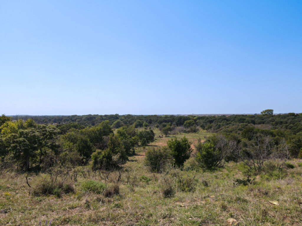 Property photo for land for sale in Montague County Texas