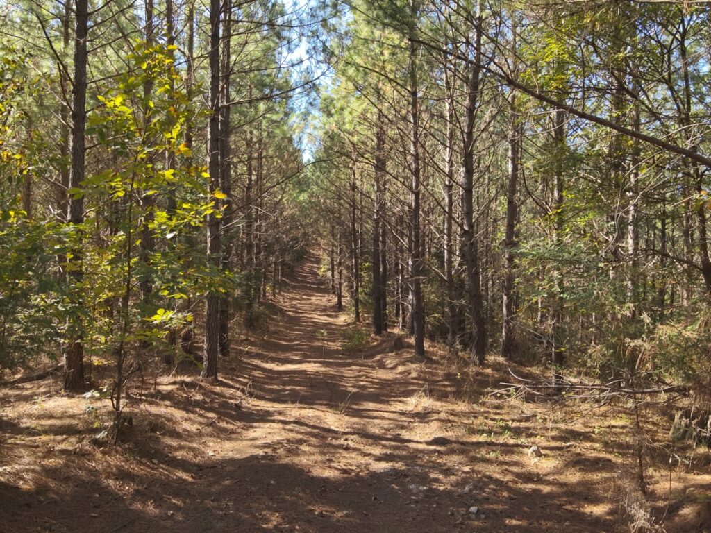 Property photo for land for sale in Perry County Tennessee