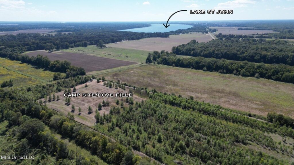 Property photo for land for sale in Tensas County Louisiana