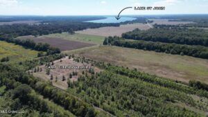 Property photo for land for sale in Tensas County Louisiana