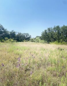Property photo for land for sale in Brown County Texas