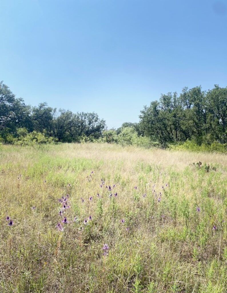 Property photo for land for sale in Brown County Texas
