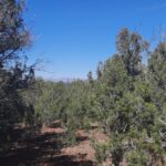 Property photo for land for sale in Yavapai County Arizona