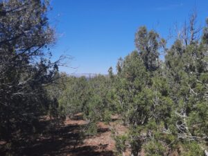 Property photo for land for sale in Yavapai County Arizona