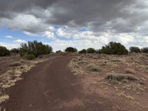Property photo for land for sale in Navajo County Arizona