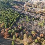 Property photo for land for sale in Latimer County Oklahoma