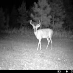 Property photo for land for sale in Decatur County Georgia