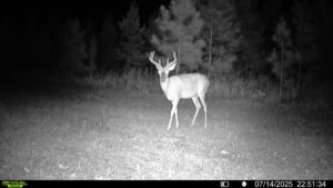 Property photo for land for sale in Decatur County Georgia