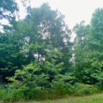 Property photo for land for sale in Overton County Tennessee