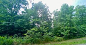 Property photo for land for sale in Overton County Tennessee