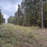 Property photo for land for sale in Miller County Arkansas