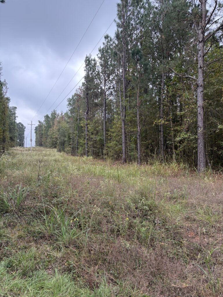 Property photo for land for sale in Miller County Arkansas
