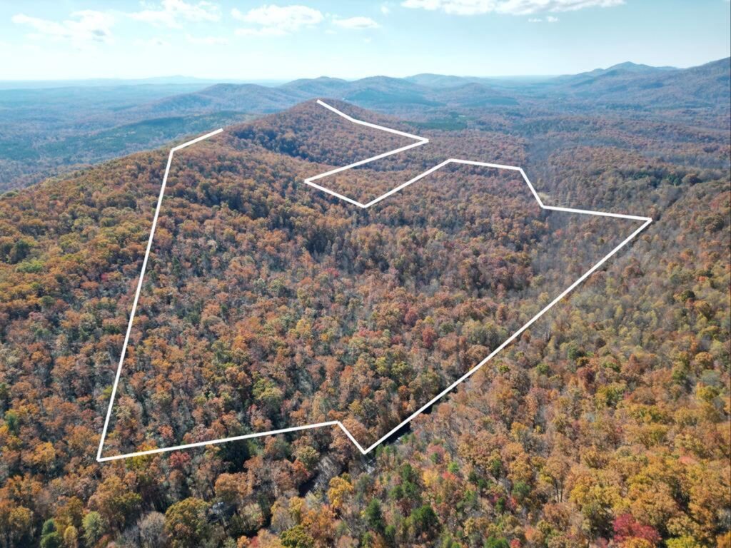 Property photo for land for sale in Nelson County Virginia