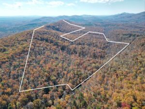 Property photo for land for sale in Nelson County Virginia