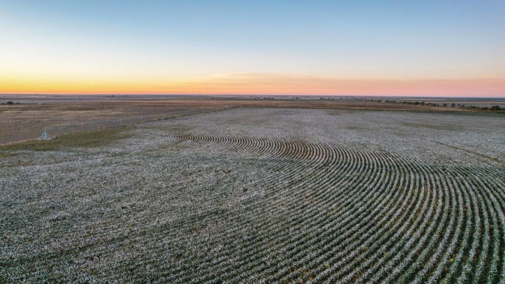 Property photo for land for sale in Lamb County Texas