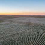 Property photo for land for sale in Lamb County Texas