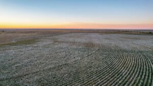 Property photo for land for sale in Lamb County Texas