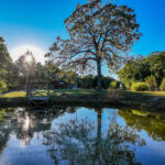 Property photo for land for sale in St. Clair County Missouri