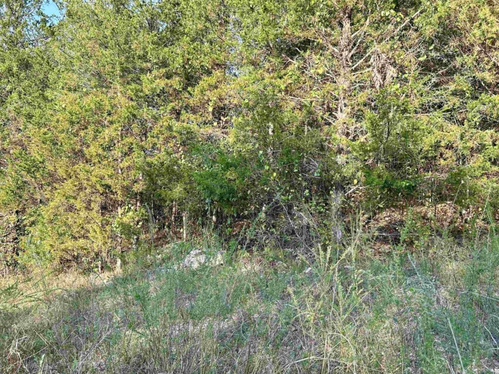 Property photo for land for sale in Sharp County Arkansas