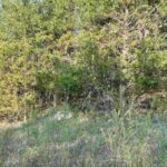 Property photo for land for sale in Sharp County Arkansas
