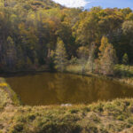 Property photo for land for sale in Lee County Virginia