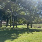 Property photo for land for sale in Perry County Tennessee