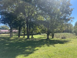 Property photo for land for sale in Perry County Tennessee