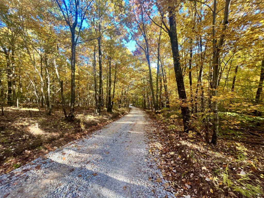 Property photo for land for sale in Newton County Arkansas