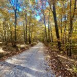 Property photo for land for sale in Newton County Arkansas