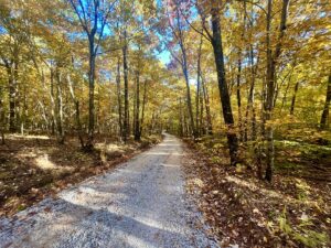 Property photo for land for sale in Newton County Arkansas