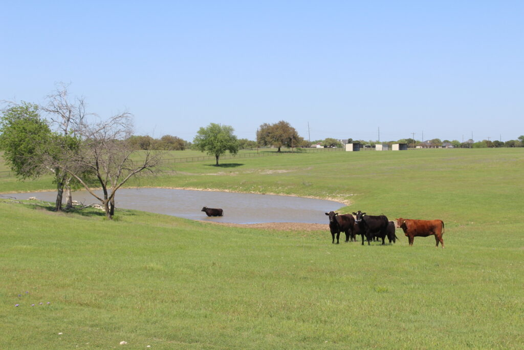 Property photo for land for sale in McLennan County Texas