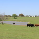 Property photo for land for sale in McLennan County Texas