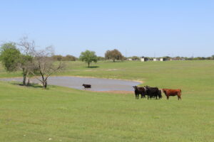 Property photo for land for sale in McLennan County Texas
