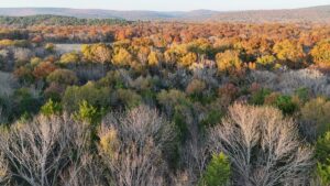 Property photo for land for sale in Latimer County Oklahoma