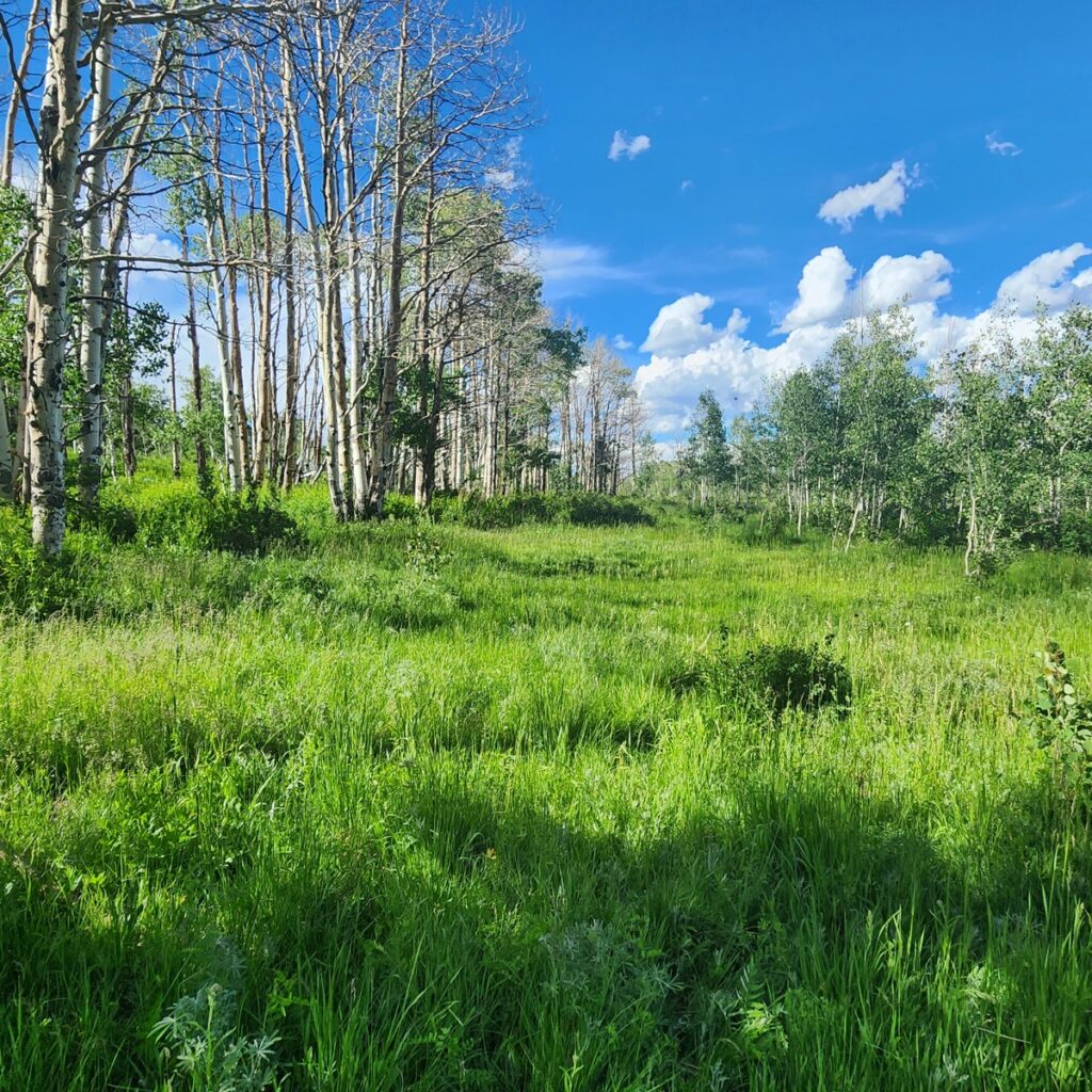 Property photo for land for sale in Mesa County Colorado