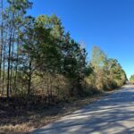 Property photo for land for sale in Clark County Arkansas