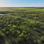 Property photo for land for sale in Coleman County Texas